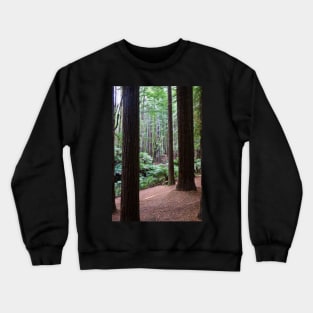 Tall dark redwood tree trunks. Crewneck Sweatshirt